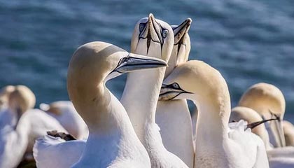 爱游戏在线登录-新疆广汇退赛风波持续发酵，新疆广汇吧百度贴吧