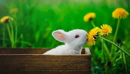 爱游戏在线登录-新疆广汇退赛风波持续发酵，新疆广汇吧百度贴吧